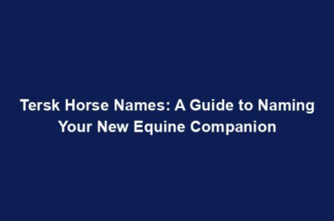 Tersk Horse Names: A Guide to Naming Your New Equine Companion