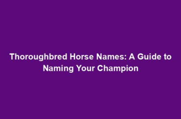 Thoroughbred Horse Names: A Guide to Naming Your Champion