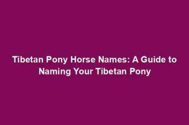 Tibetan Pony Horse Names: A Guide to Naming Your Tibetan Pony