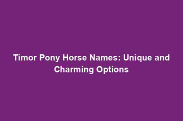 Timor Pony Horse Names: Unique and Charming Options