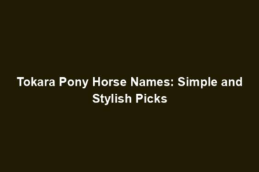 Tokara Pony Horse Names: Simple and Stylish Picks