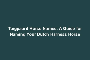 Tuigpaard Horse Names: A Guide for Naming Your Dutch Harness Horse