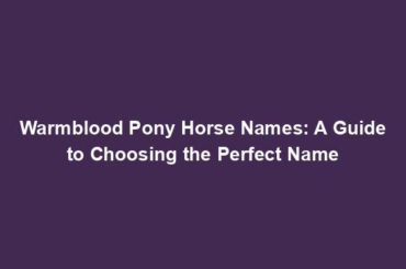 Warmblood Pony Horse Names: A Guide to Choosing the Perfect Name