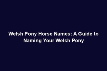 Welsh Pony Horse Names: A Guide to Naming Your Welsh Pony