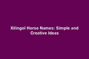 Xilingol Horse Names: Simple and Creative Ideas